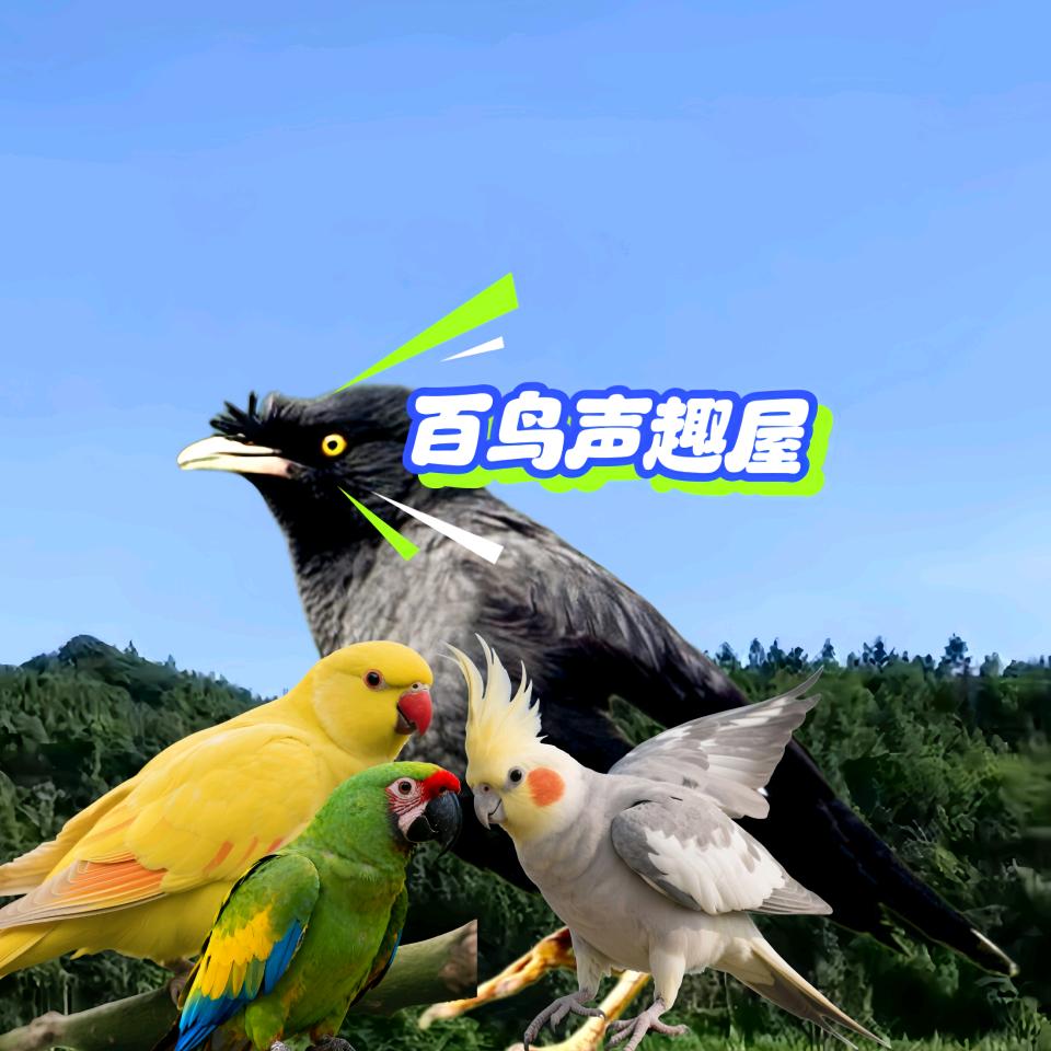 96470077659