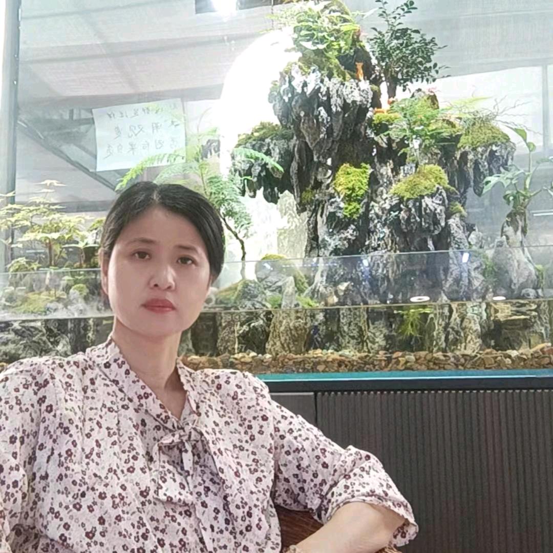 田雨水族鱼缸造景