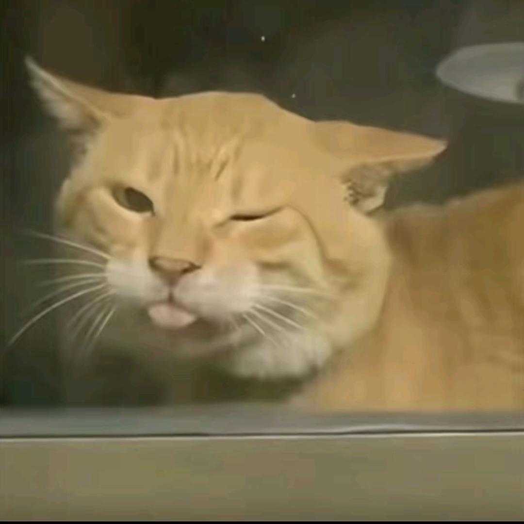 哈惧米