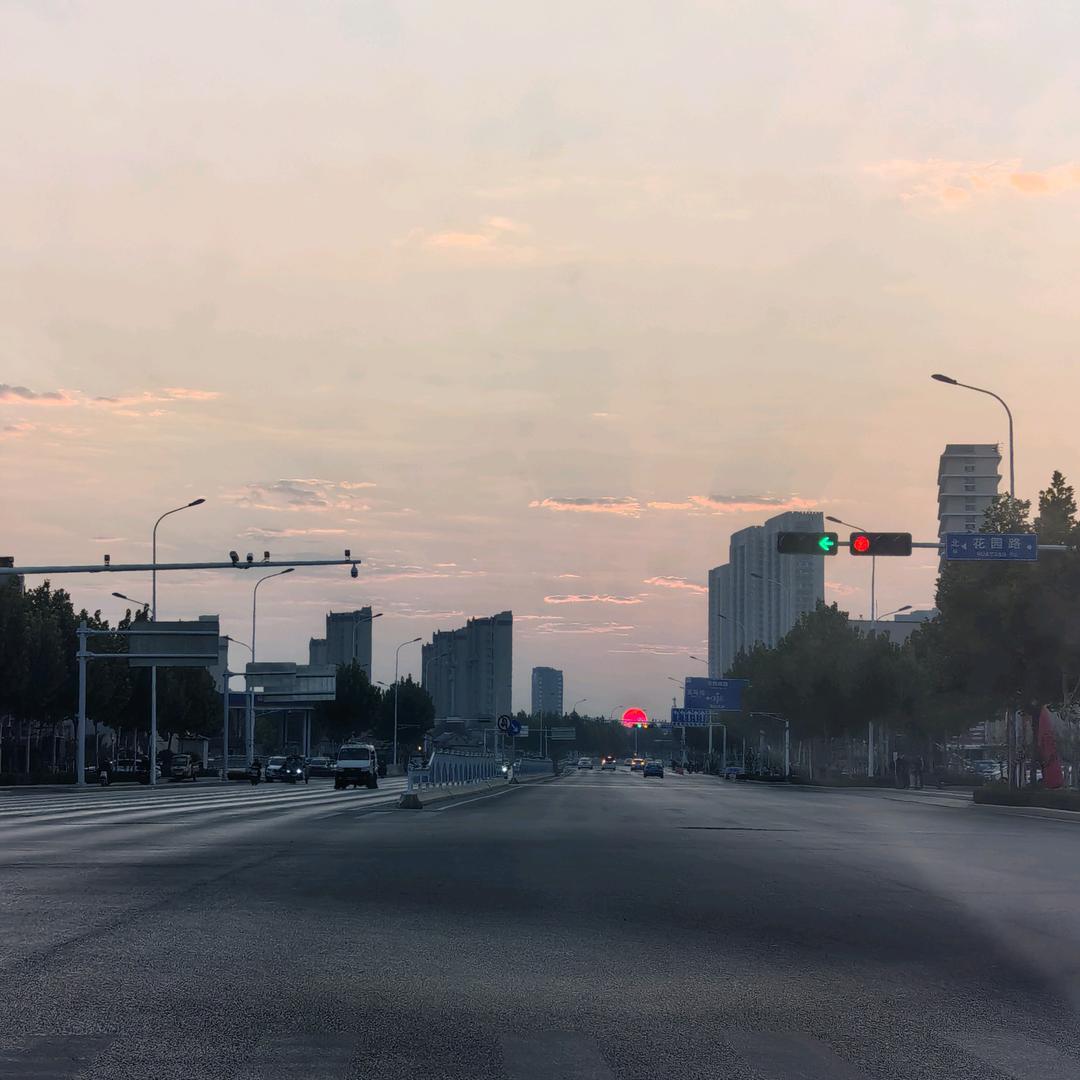 一头麋鹿不迷路🦌