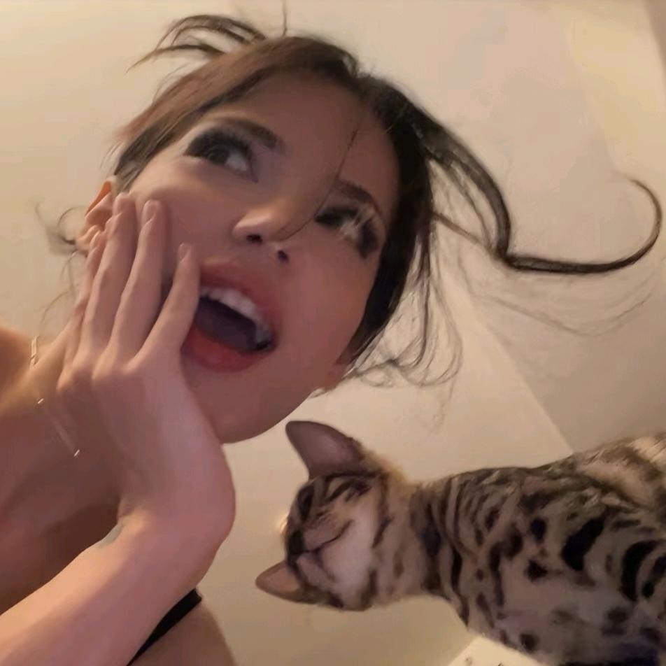 你别作妖