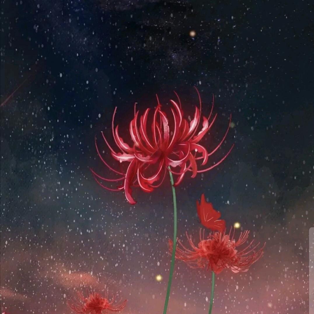 ꧁辻💞弎꧂