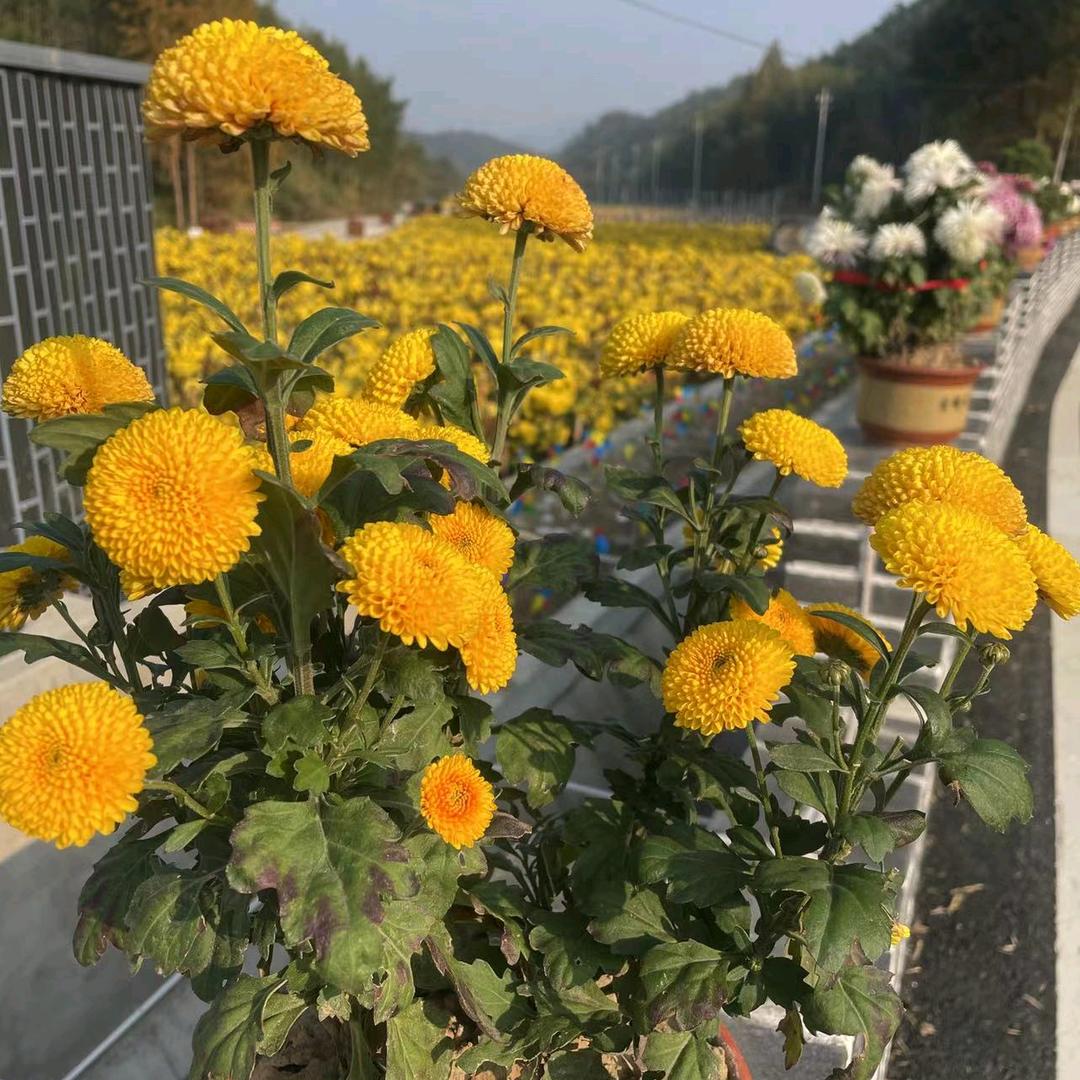 用户914809024947，