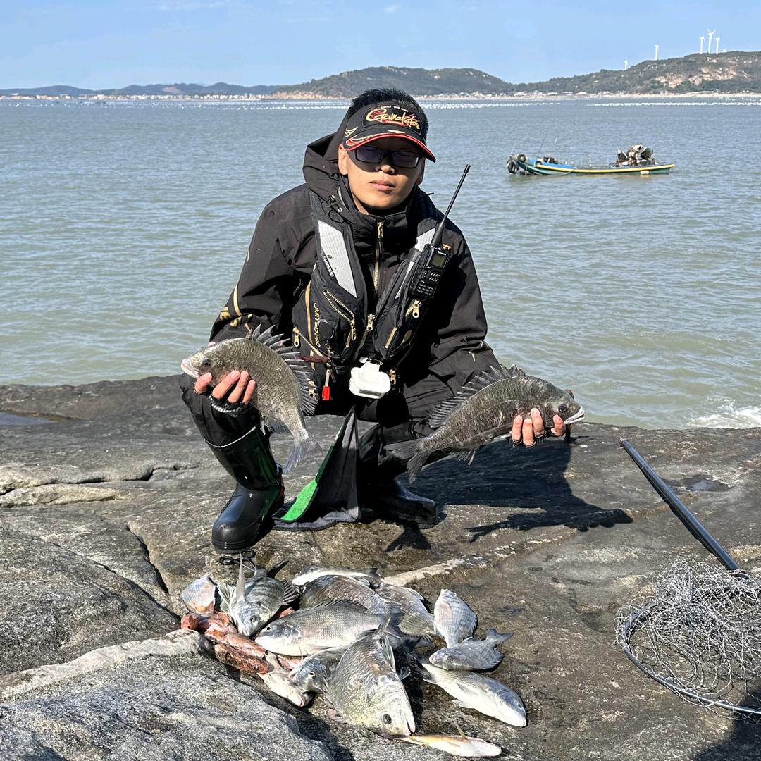磯鲷毛