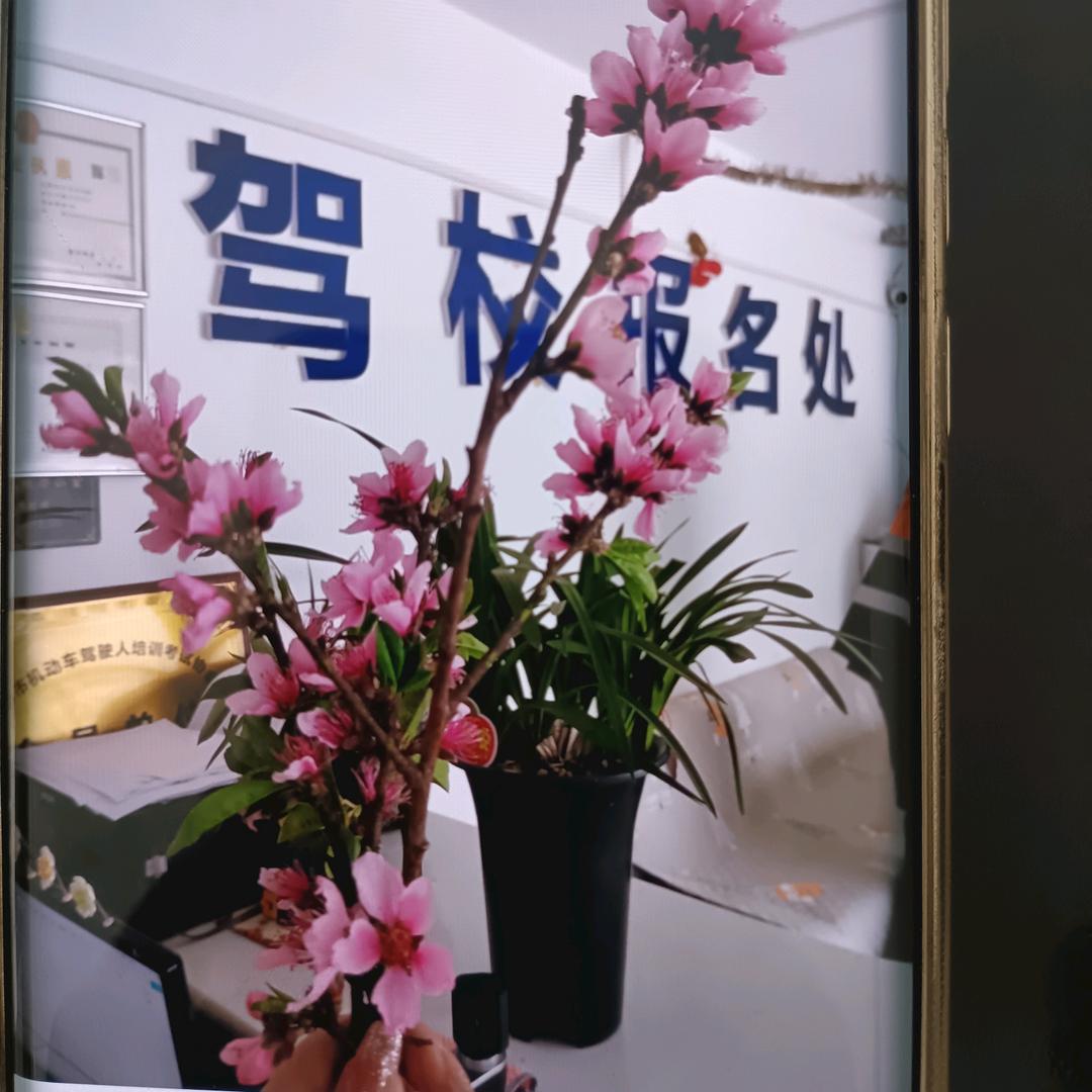 大方县路顺驾校培训中心