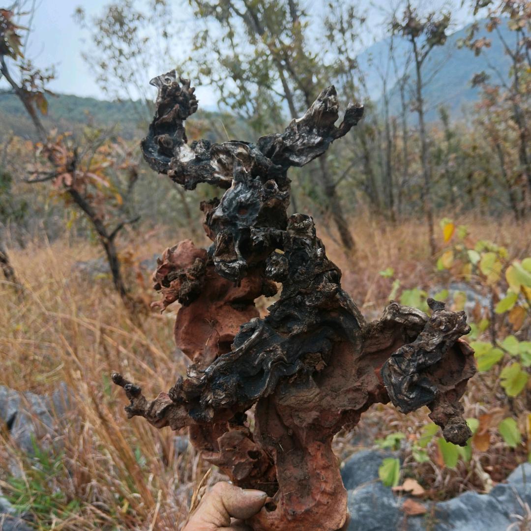 为了生活努力呗