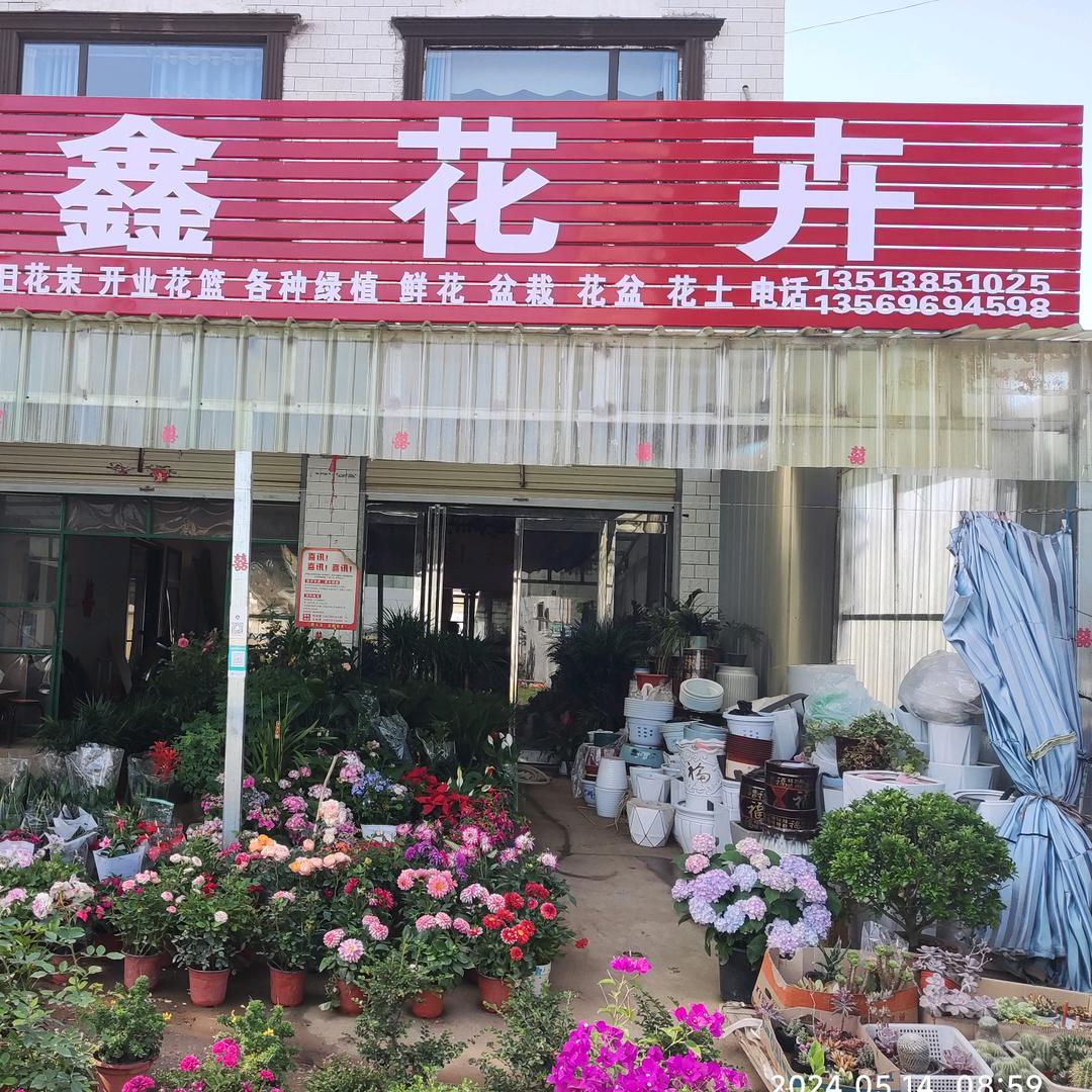 鑫鑫花卉