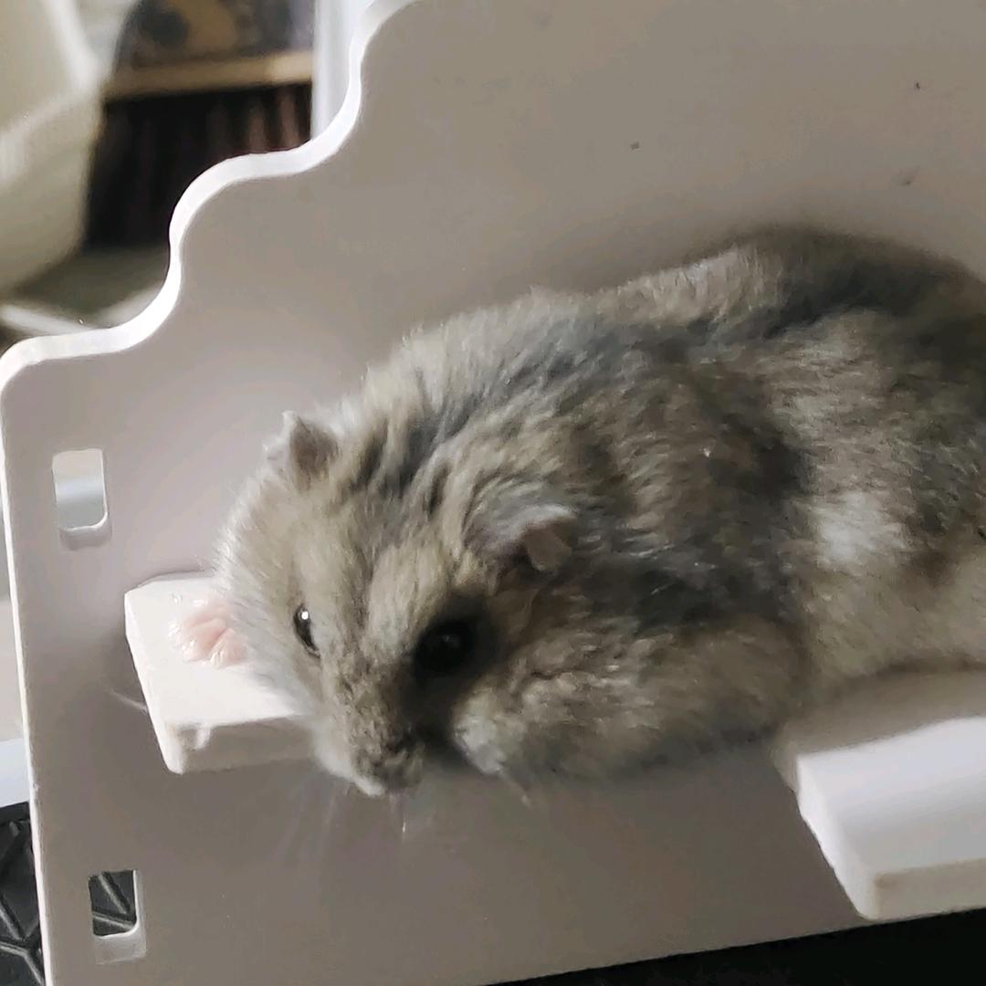 椒盐小麻花