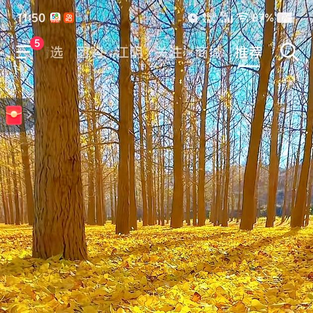 懂得珍惜，才配拥有