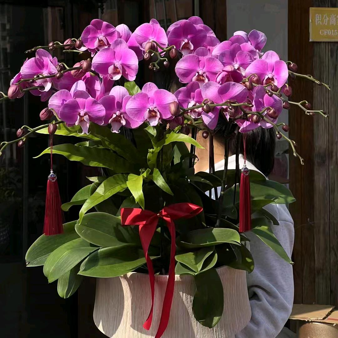 🌺闽南🥀帅哥🌾💐