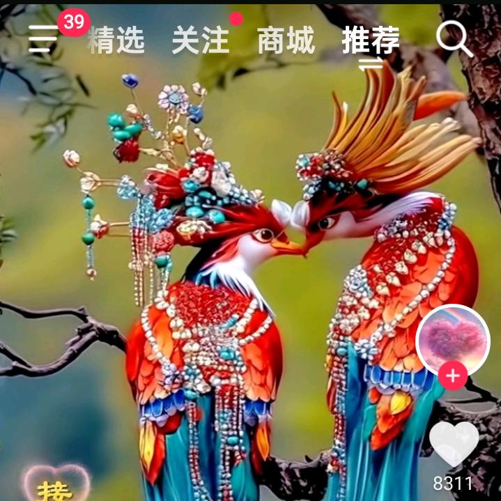 画眉