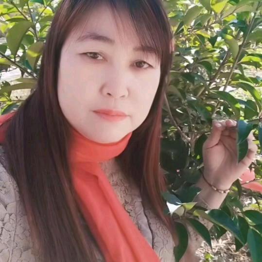 猪八戒小媳妇