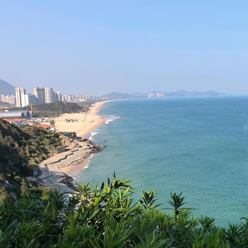 南山客