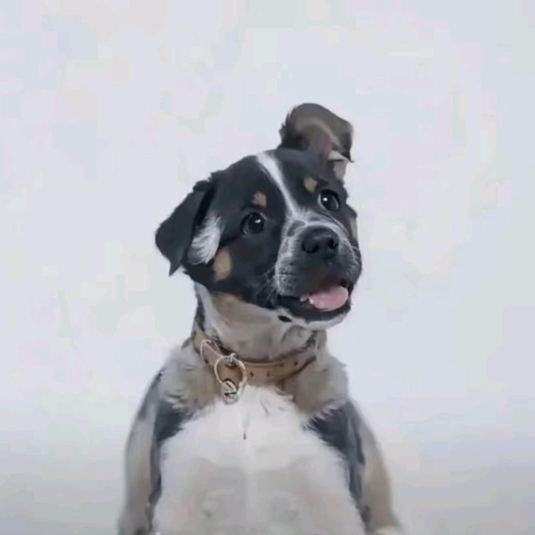 超级福袋