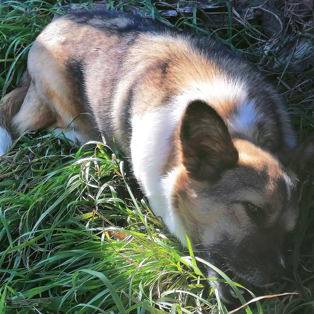 复合肥不会后悔