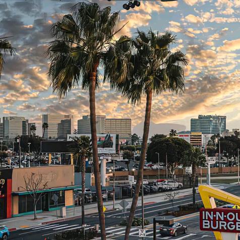 早就没有好名字了