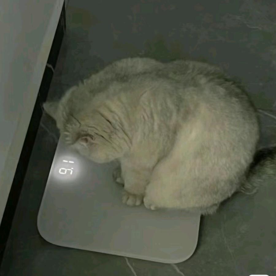 江江发疯