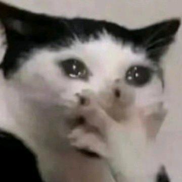 请一直注视着我