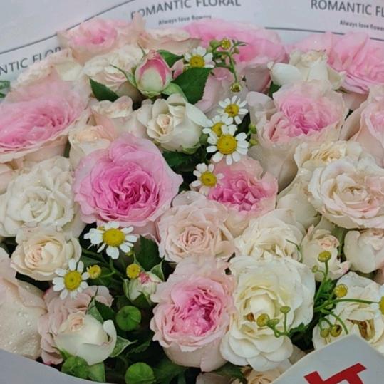 ℒᎭℯ⃝你的💕进宝࿐