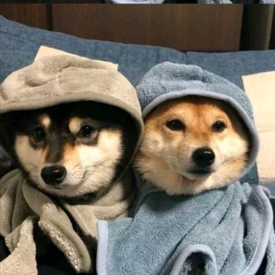 月月美妆研究所