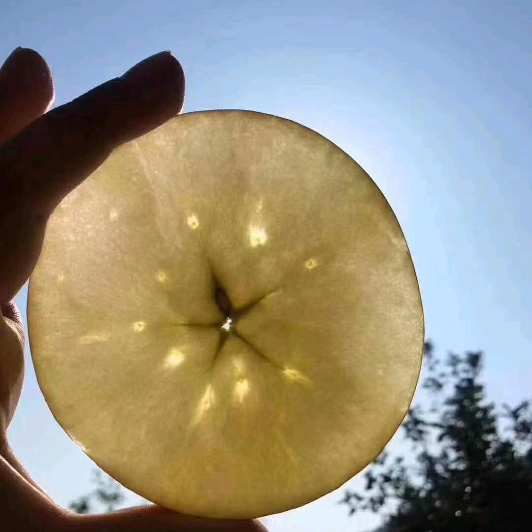 二驴