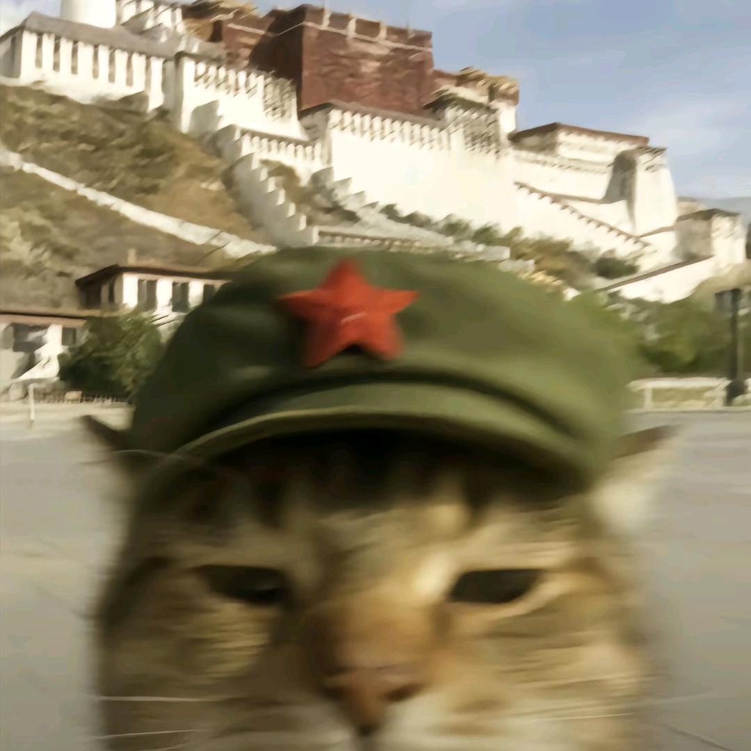 午夜闹铃