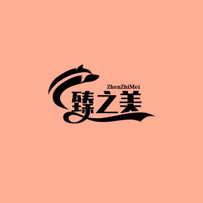 臻之美内衣