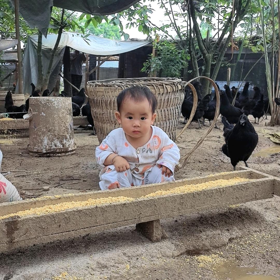 归乡—湖杨生态农场