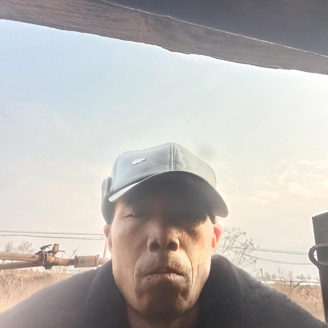 金龙