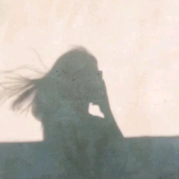 🌞小白睡不醒🌻