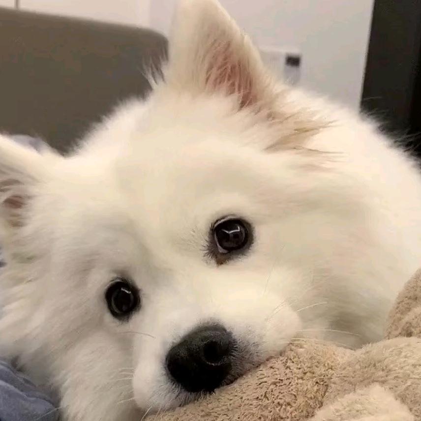 不瘦十斤不改名.