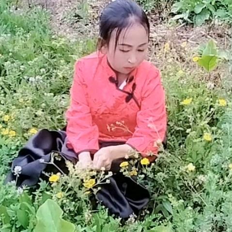 菩提珠的祈祷