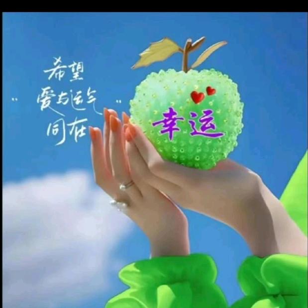 幸运草🌻