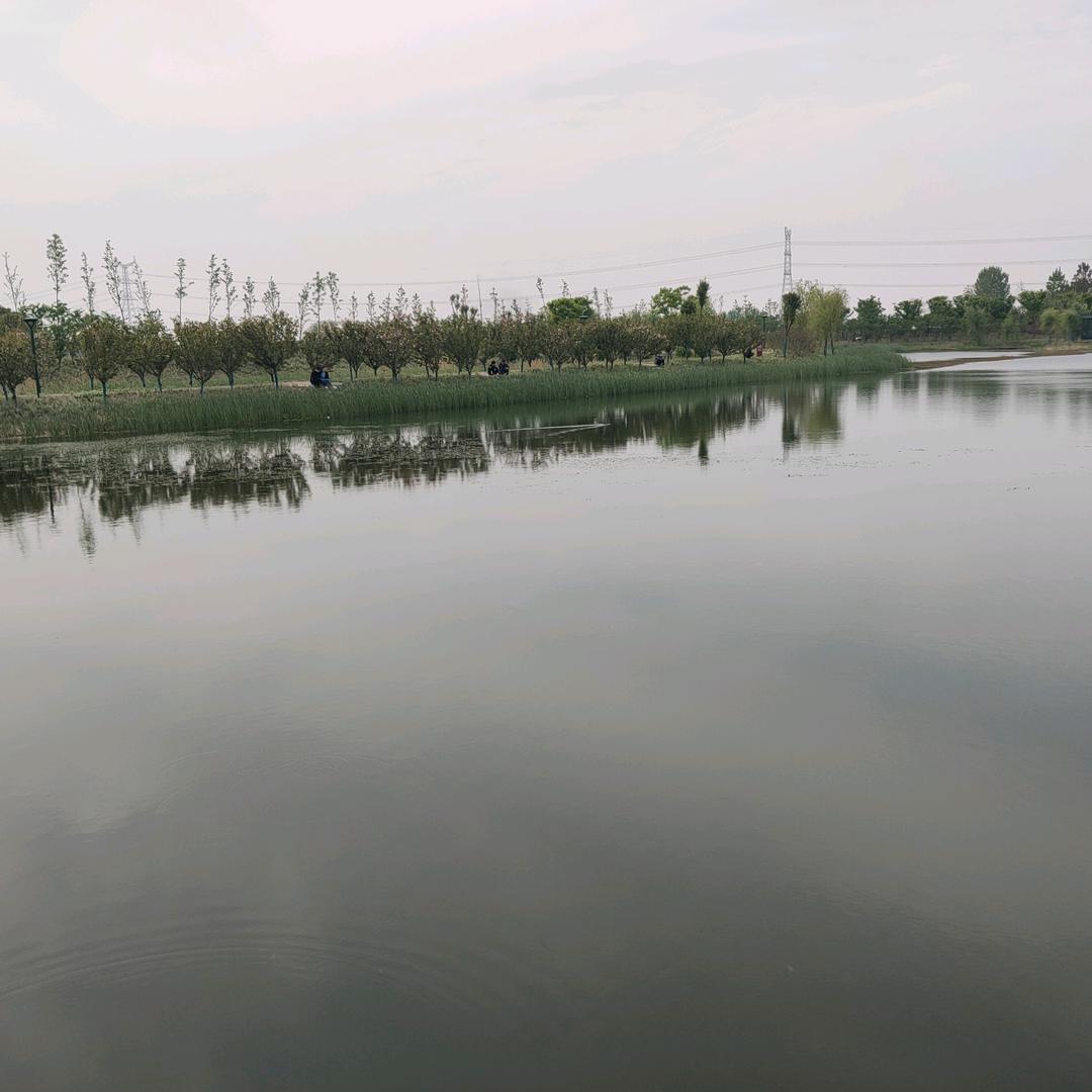 米莱