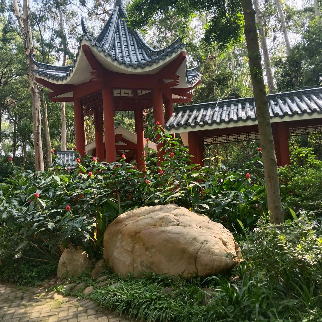 晴儿