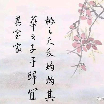 被遗忘的回忆