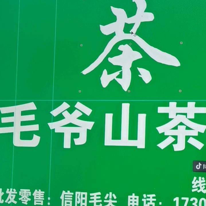 毛爷山茶叶批发