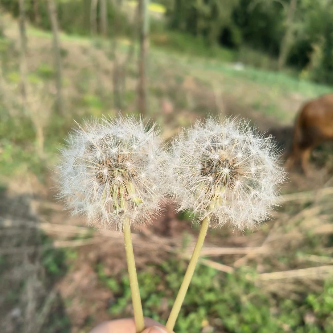 风生水起♥♛*^_^*