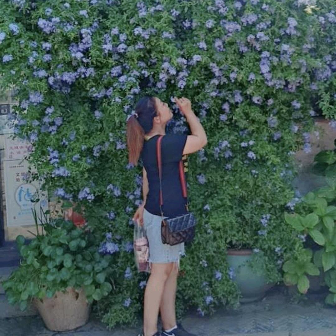 梅兮