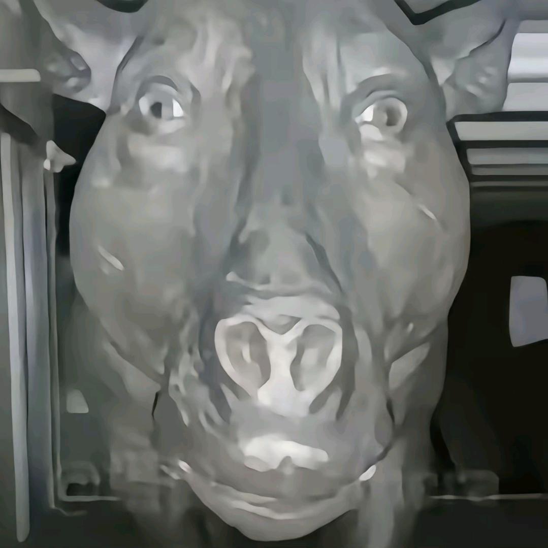minttd