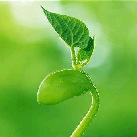 三千里