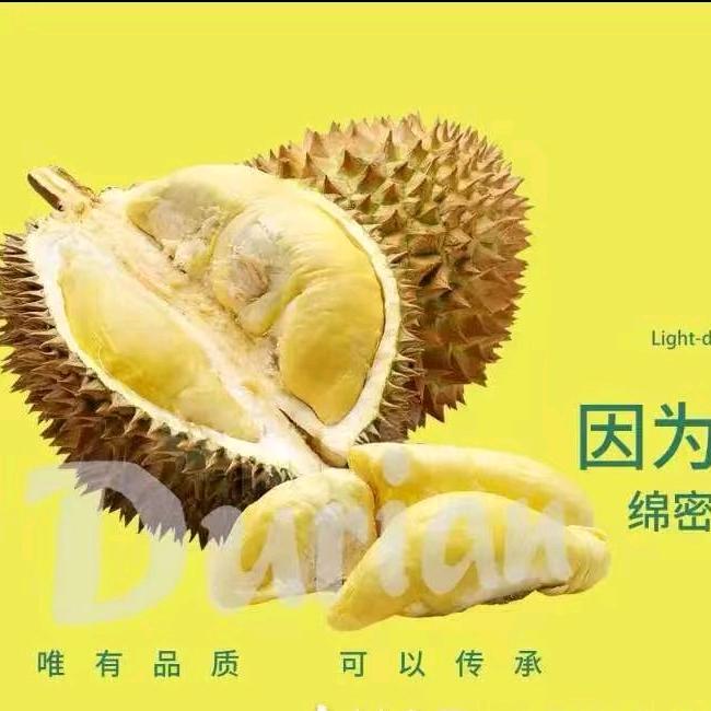 @泰【榴莲启航】