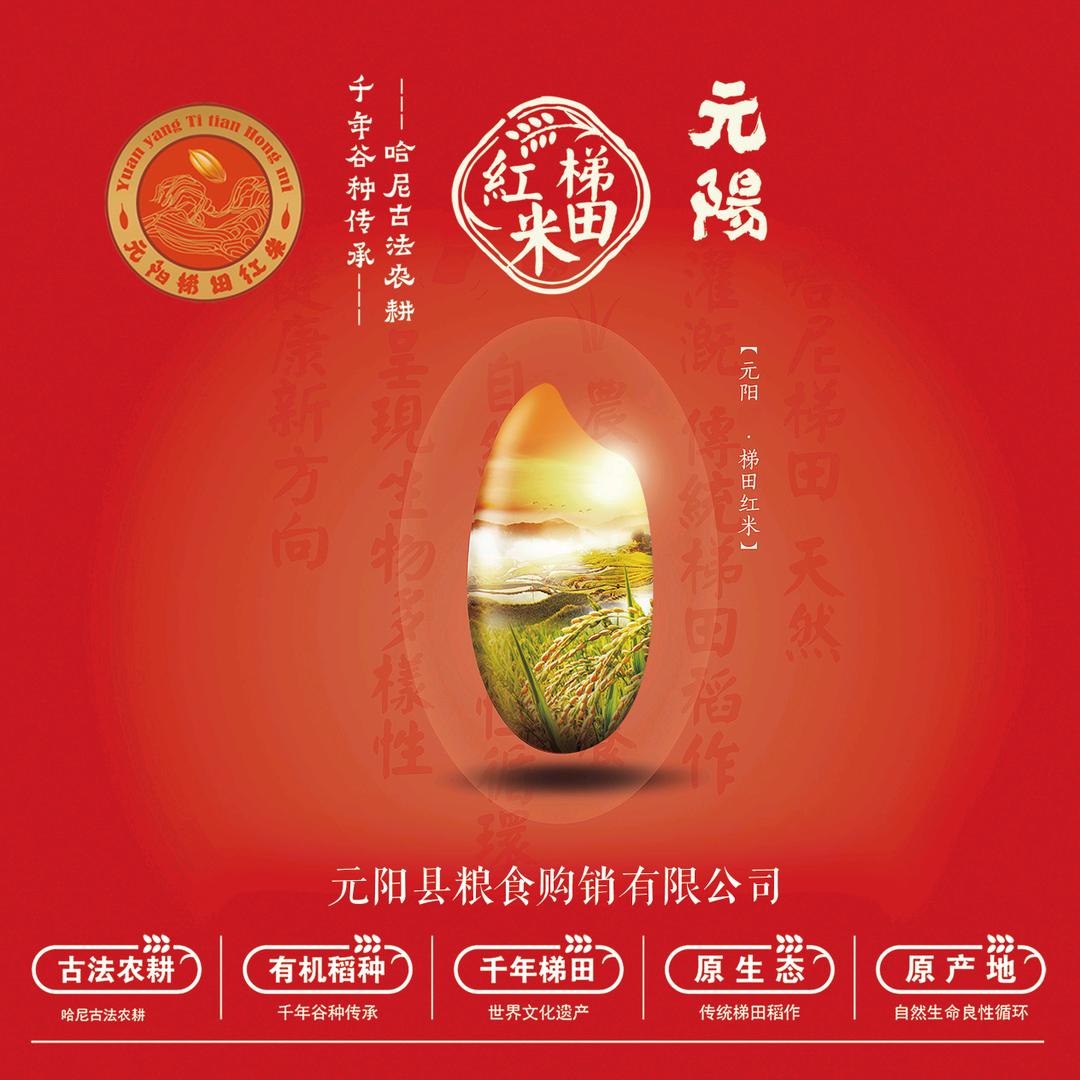 元阳梯田红米