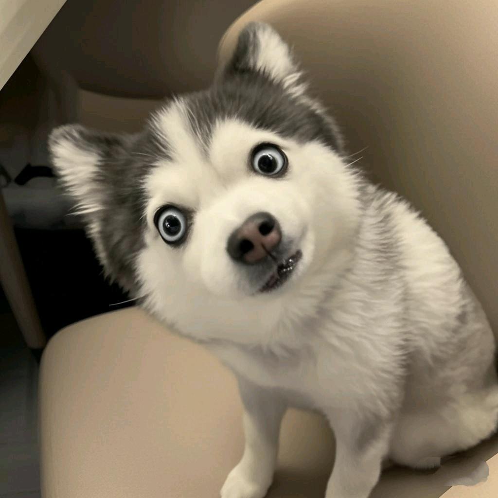 嘿嘿嘿