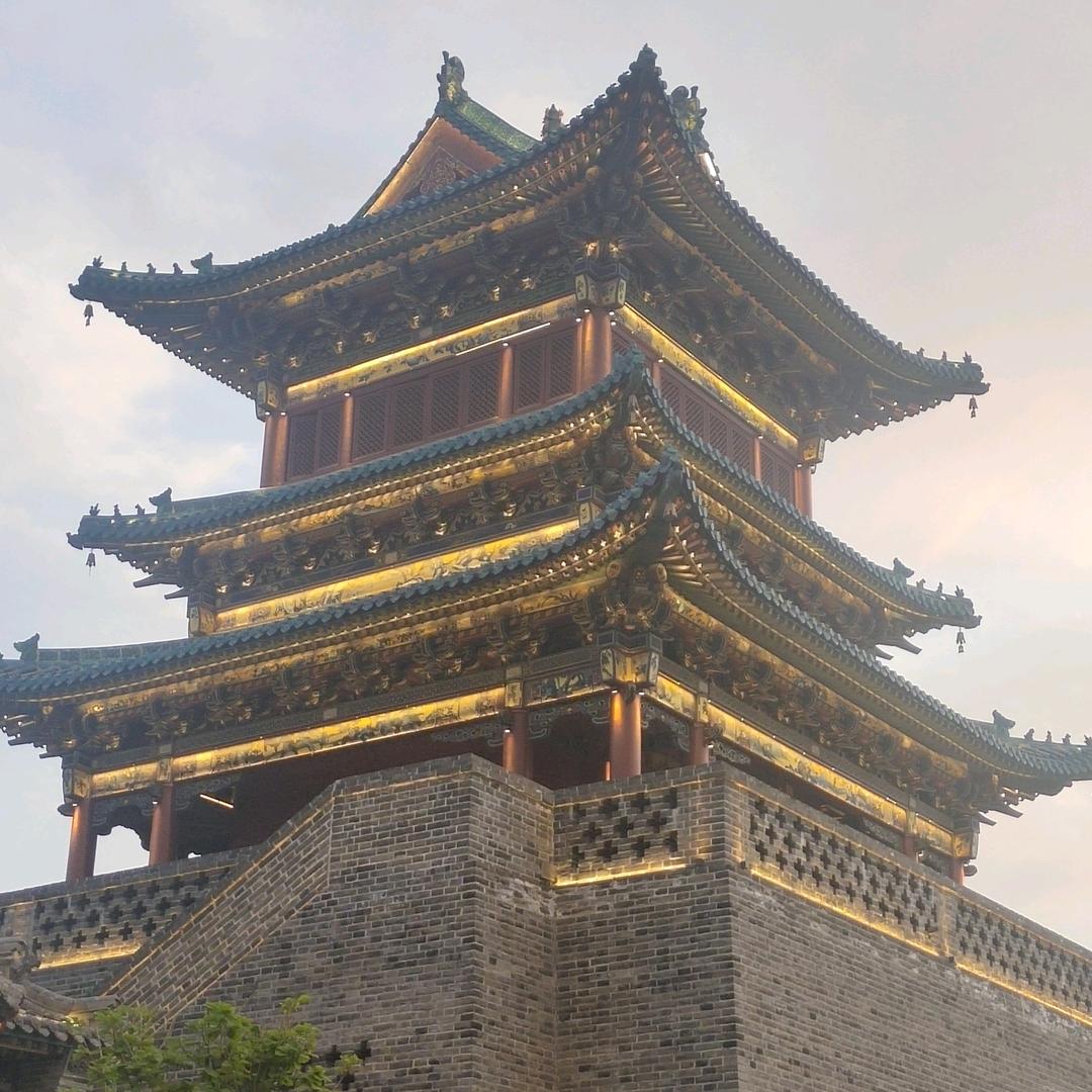 杨木易