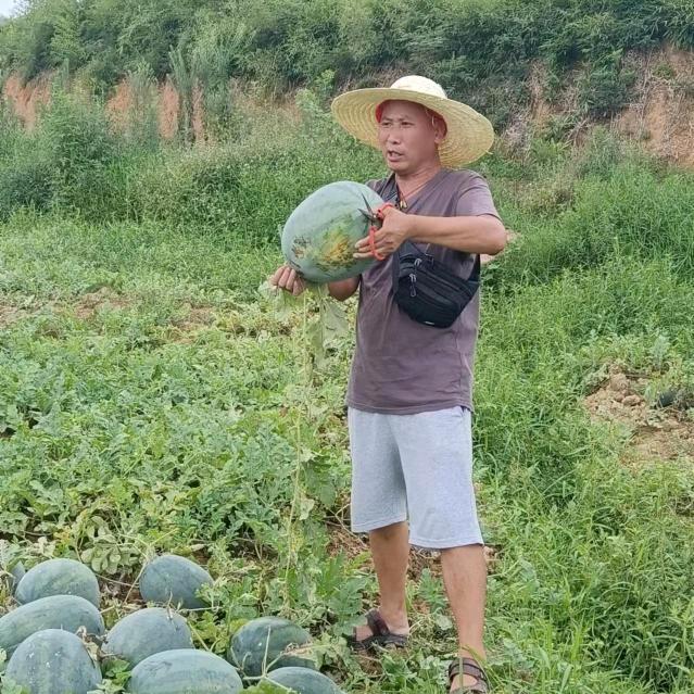 周哥农村人正能量
