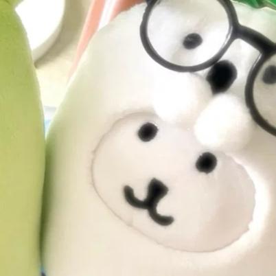 冰糖猫🐈