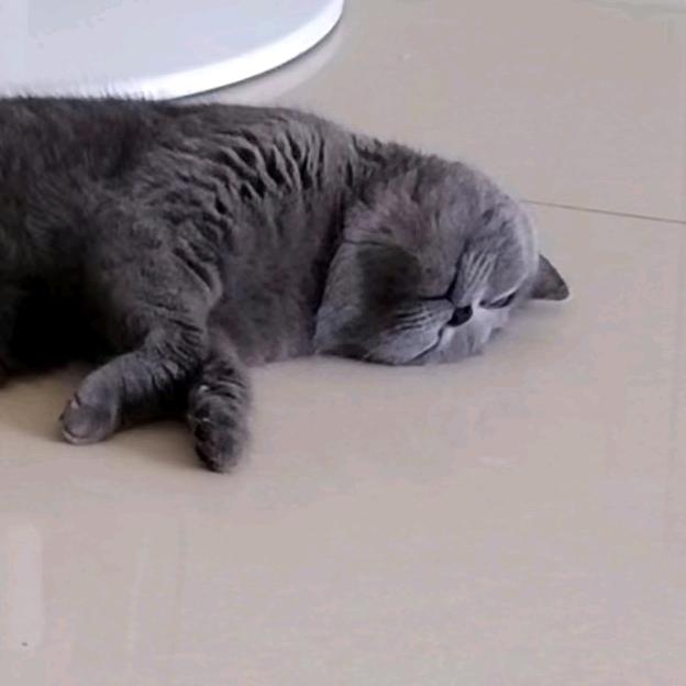 六百六十六6 6 6