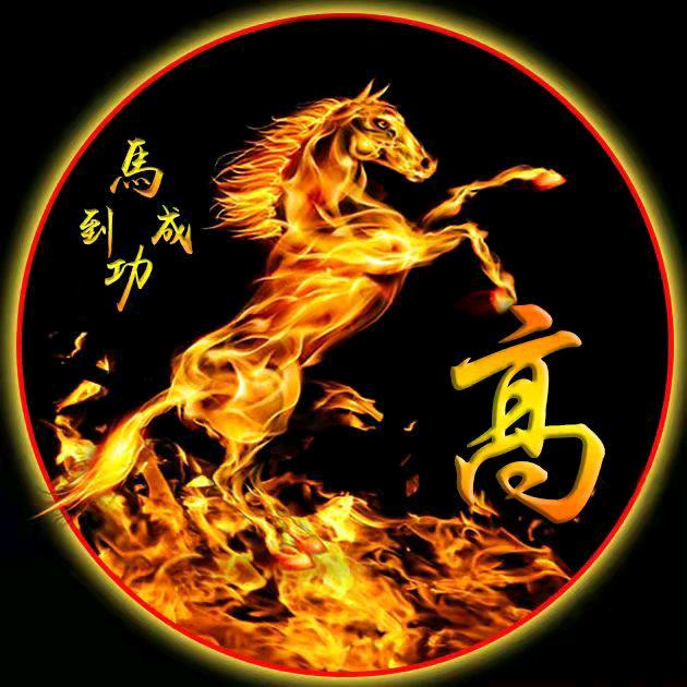 万通潍坊驾校高教