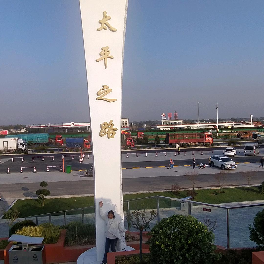 陈默的羔羊